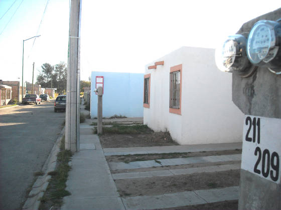 adolfo15.jpg