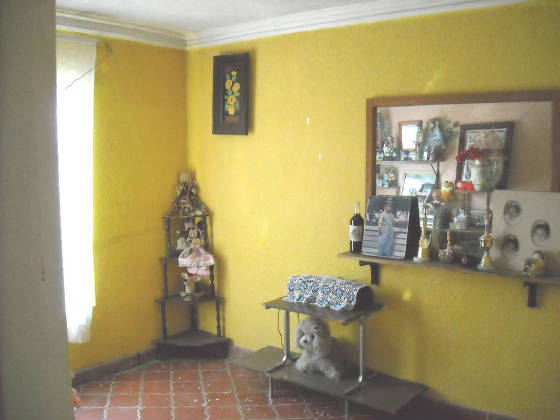 casasyterrenos004.jpg