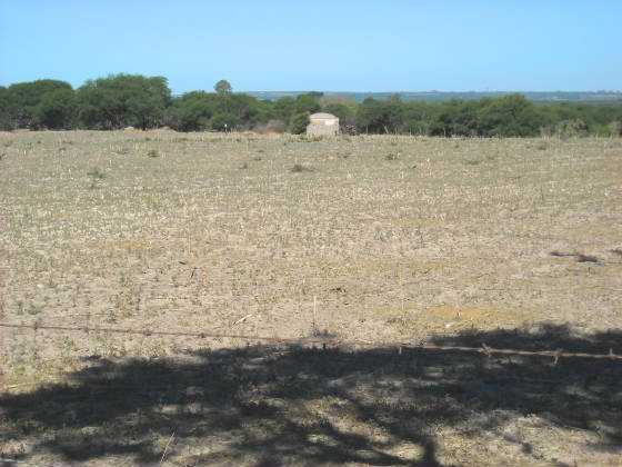 churitzio003.jpg