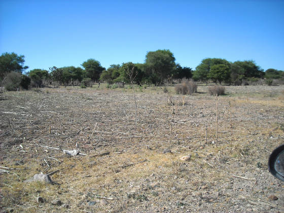 churitzio005.jpg