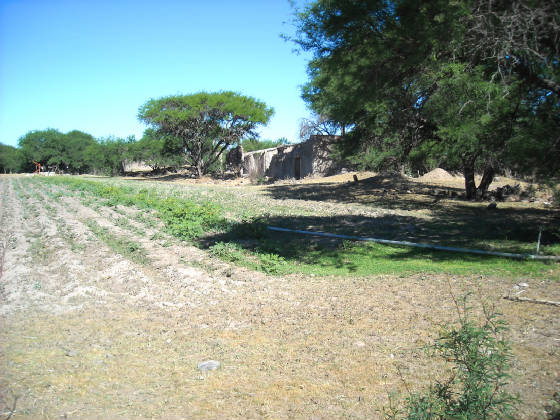 churitzio010.jpg