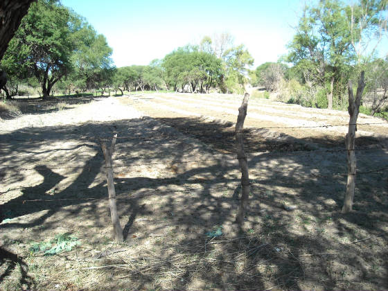 churitzio011.jpg