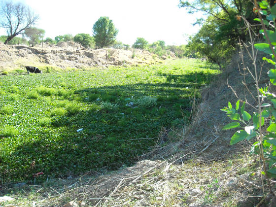 churitzio012.jpg