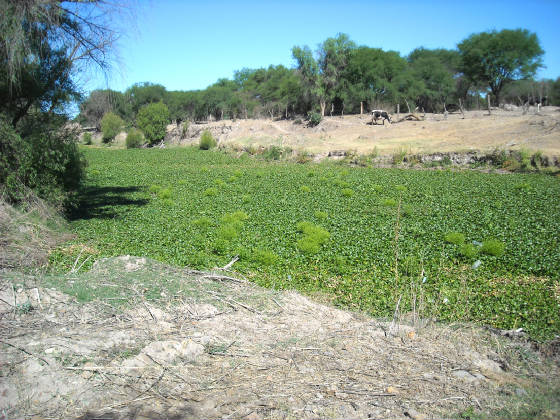 churitzio013.jpg