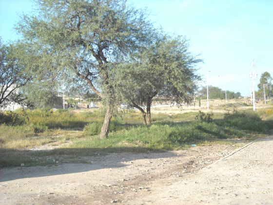 dscn0031.jpg