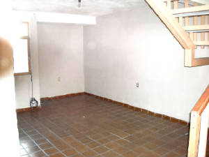 ebano005.jpg