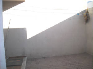 ebano010.jpg