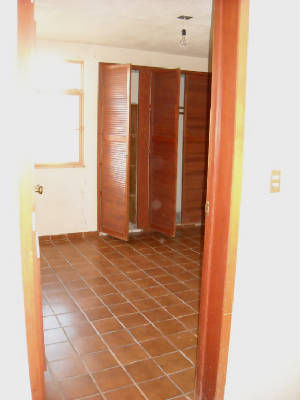 ebano025.jpg