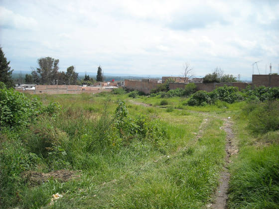 sanmiguelito1.jpg