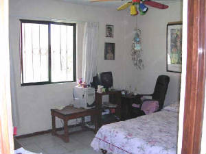 silviabr3.jpg