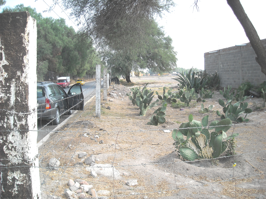 5hasadelita002.jpg