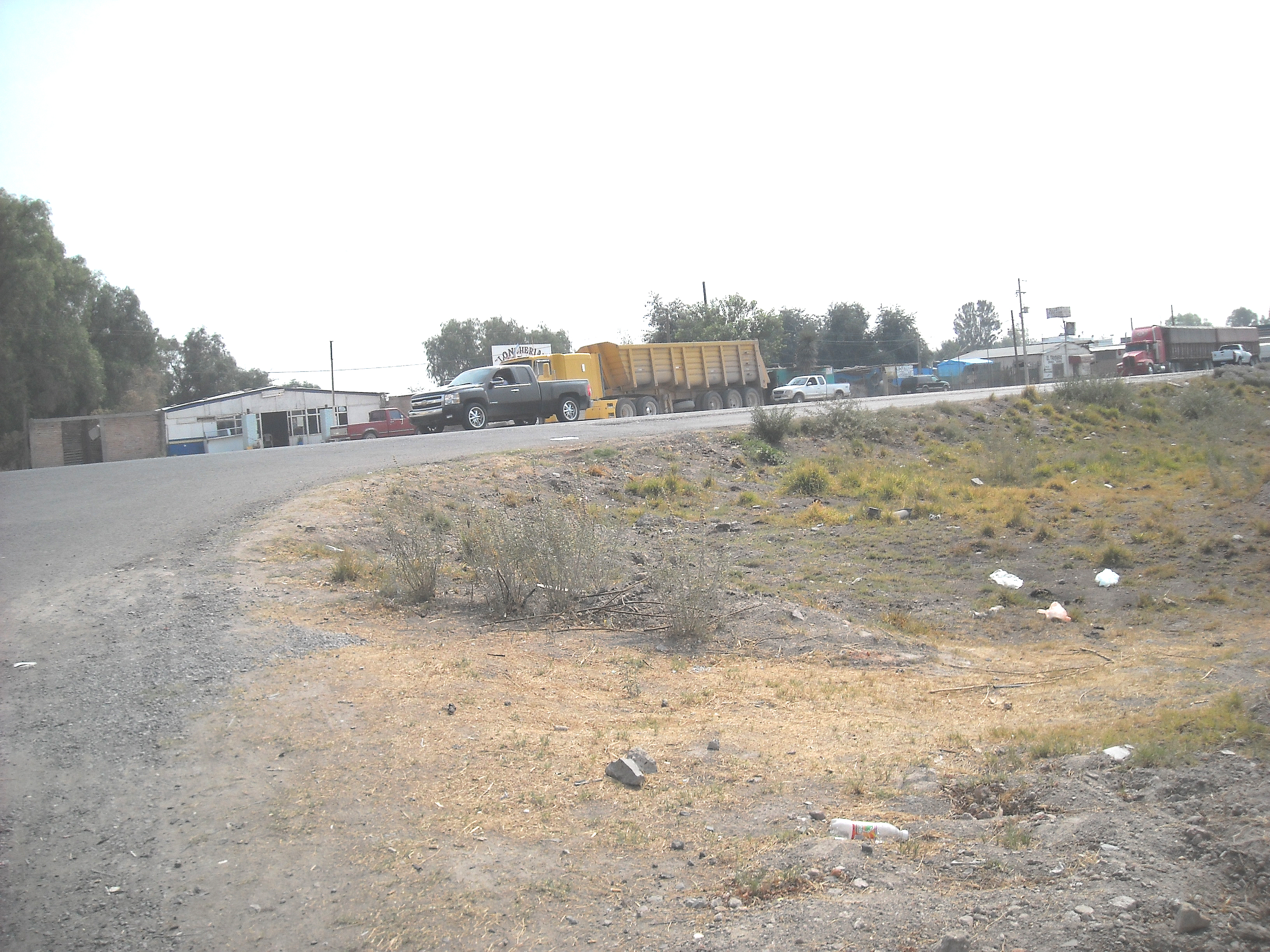 5hasadelita006.jpg